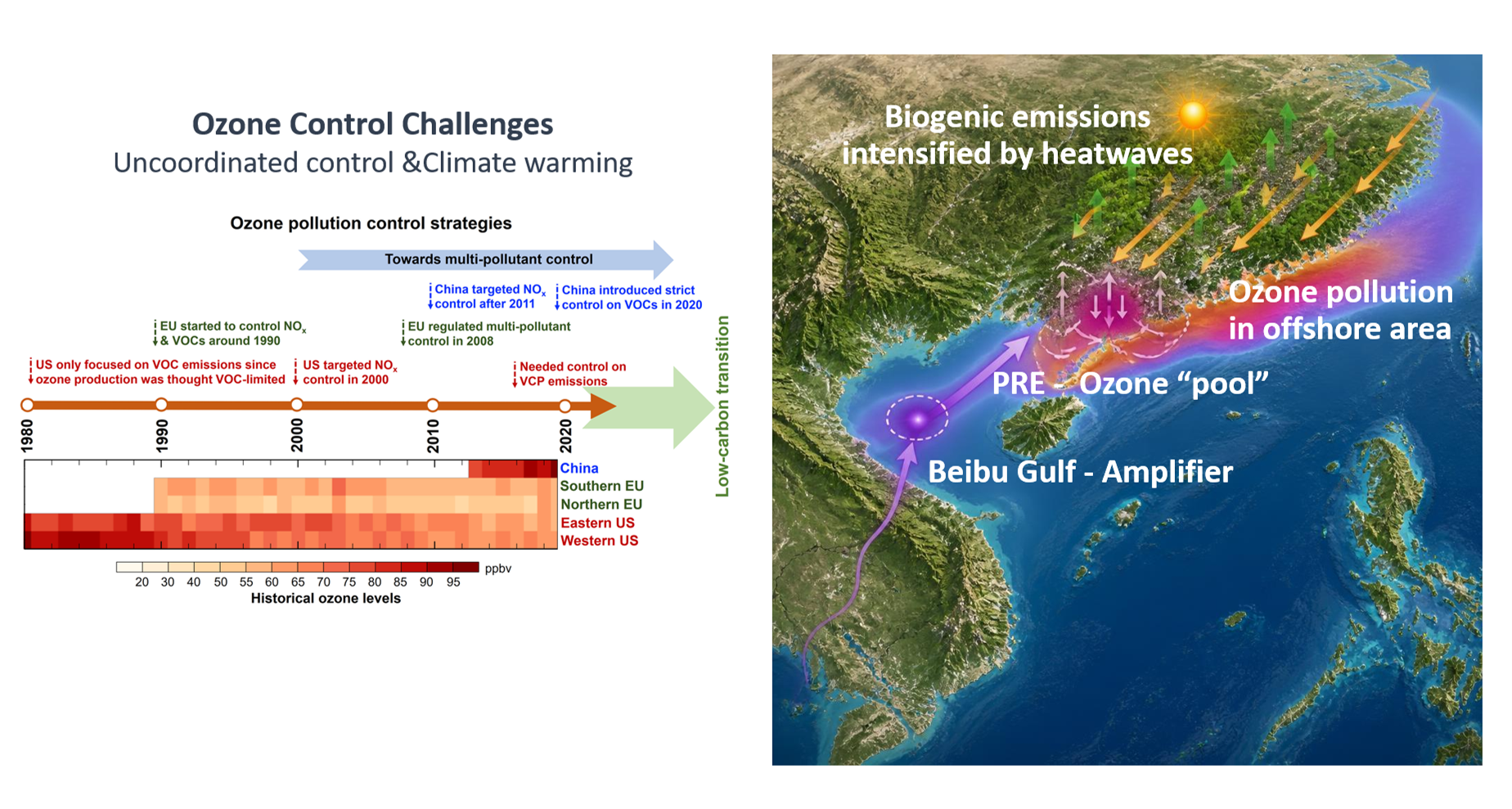 Global and Regional Ozone Pollution